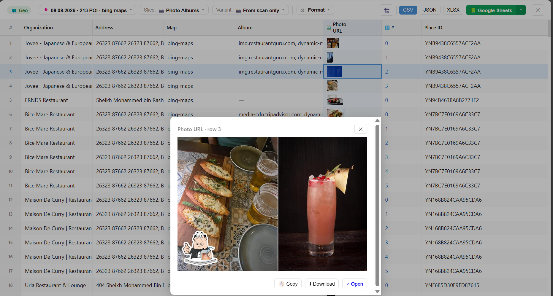 The Photo albums slice in the table: photo thumbnails and a preview with download buttons